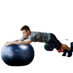 Pelota de Ejercicio de PVC Ecológica Personalizada con Color y Logotipo de Zhensheng, Pelota de Yoga, Pelota de Fitness al por Mayor - Product Image 1