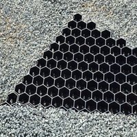 Grille en HDPE noir pour pelouses, parkings, allées, voies d'accès, projets d'aménagement paysager commercial avec drainage