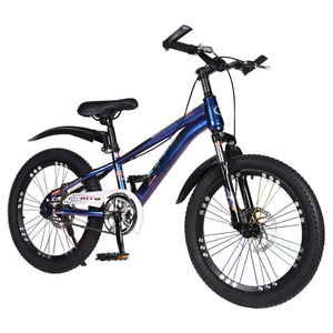 Wholesale 20\" Kids Bike with Chinese Style for 5-14 Years Old Features Ordinary <b>Pedal</b> and Disc Brake System - Product Image 2