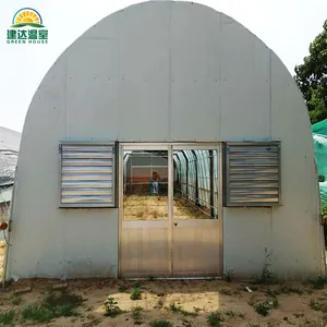Теплица с легкими грибами Jianda House, теплица для выращивания в зеленом доме с гидропонным туннелем, зеленая Однопролетная сельскохозяйственная теплица PE