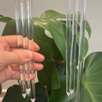 Treillis pour plantes en acrylique transparent de 12 pouces de hauteur pour les plantes grimpantes Hoya et les plantes d'intérieur