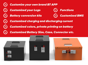Pack <span class=keywords><strong>de</strong></span> batteries LiFePO4 60V 64V 50Ah 65Ah 80Ah pour tricycle électrique, <span class=keywords><strong>batterie</strong></span> rechargeable longue durée <span class=keywords><strong>de</strong></span> vie pour véhicule <span class=keywords><strong>à</strong></span> trois roues - Product Image 5
