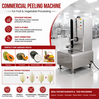 BlinkSong BS-SXP1 Commerciële Elektrische Schilmachine 220V 0.5kW RVS Automatische Fruit- en Groenteschilmachine 400mm Reikwijdte