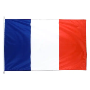 Vente chaude 100% polyester 3x5ft <span class=keywords><strong>bleu</strong></span> <span class=keywords><strong>blanc</strong></span> <span class=keywords><strong>rouge</strong></span> avec œillet en laiton <span class=keywords><strong>drapeau</strong></span> français - Product Image 1