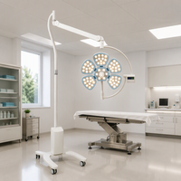Lampe chirurgicale LED mobile, lampe chirurgicale portable, lampe chirurgicale vétérinaire, lampe d'opération pour clinique vétérinaire
