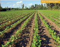 Semoir à maïs pneumatique à 6 rangs, machine agricole en gros, vente chaude