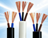 Kabel Kontrol RVV Multi-Core Fleksibel Berlapis PVC Tembaga Terpilin 2/3 Inti untuk Kabel Rumah Tangga dan Industri (Roll)