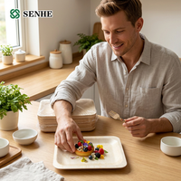 Assiette à sushi en bois jetable, 100 % biodégradable, écologique, de qualité alimentaire, sans BPA, résistante à la chaleur, certifiée FDA