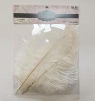 Rouge 2 pièces Polobag plumes d'autruche pour fête carnaval maison mariage pièce maîtresse noël Vase vacances décor bricolage artisanat Floral