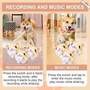 Jouet interactif pour chien, peluche animée avec modes d'enregistrement et de musique, balle interactive pour chien qui saute, qui couine et qui vibre - Product Image 6