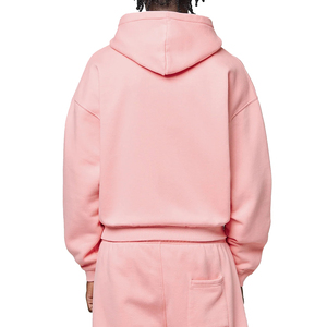 Healy Simple Fashion Zipper Sweatshirt 100% Cotton Hoodie with <b>Side</b> Pocket Custom Logo Unisex Shirts - Product Image 2