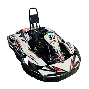 Competitive Price Professional Manufacturer Car Racing Rental Go TS6-Ev Kart Adults For Sale