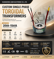 Transformateur audio toroïdal à faible bruit, monophasé, en cuivre pur, personnalisé pour amplificateur HiFi, haut-parleur actif, tension VA personnalisée