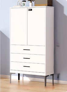 Armoire de rangement moderne en acier, fer et métal pour entrepôt de gymnase de studio de bureau à domicile-pour stocker des documents et des livres - Product Image 4