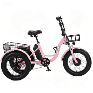 Triciclo para Adultos de 3 Ruedas, 500W, 48V, 20 Pulgadas, Motor sin Escobillas, Batería de Litio, Impermeable, Antirrobo, LUFEIYAXUANKU - Product Image 4