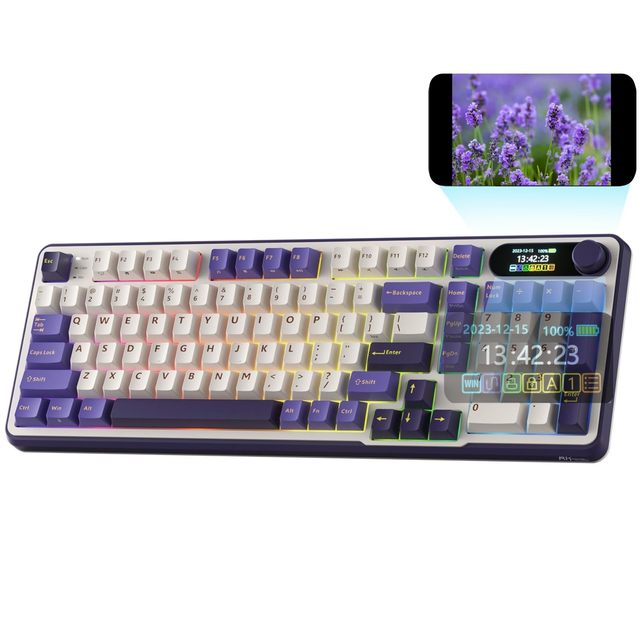 OEM ODM Wireless Mechanical Keyboard with Smart Display and Knob 96 RGB Gaming Keyboard BT24GUSBC Hot Swappable Top Mount Desig