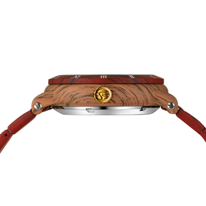 <span class=keywords><strong>Montres</strong></span> personnalisées d'usine chinoise en gros Forsining News <span class=keywords><strong>Montres</strong></span> pour hommes Relojes Hombre Montre mécanique automatique squelette - Product Image 6