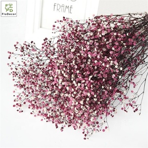 Bouquet de gypsophile préservé Babys Breath <span class=keywords><strong>Flowers</strong></span> Couleur blanche Fleurs <span class=keywords><strong>s</strong></span>échées Baby <span class=keywords><strong>s</strong></span> Breathe pour mariage ou décoration de maison - Product Image 4