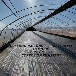 Serres agricoles et horticoles à simple travée, structure complète avec couverture en film PE - Product Image 6
