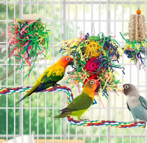 3 paket papağan kafes kuş kabağı asılı oyuncak afrika gri papağan kuş çiğneme oyuncaklar için Foraging parçalayıcı oyuncak - Product Image 5