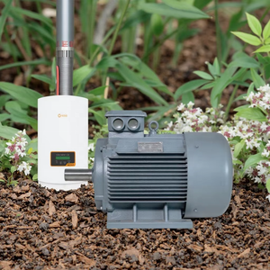 เครื่องกำเนิดไฟฟ้าแม่เหล็กแบบกำหนดเอง 20kW 50kW 150kW 250RPM 1500 RPM 380VAC สำหรับกังหันน้ำ - Product Image 3