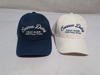 Gorra de Béisbol Wins Flying Personalizada de Alta Calidad con Logotipo Bordado en 3D, Gorra de Béisbol para Hombre, Gorra de Algodón Estructurada con Etiqueta Privada OEM