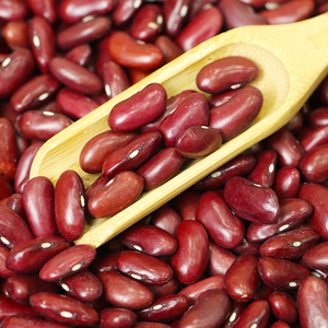 Frijoles Rojos Secos, No Transgénicos, Legumbre Nutritiva para Cocinar, Enlatar, Venta al por Mayor, Paquete OEM, Fábrica de Alimentos y Distribuidores de Granos - Product Image 1