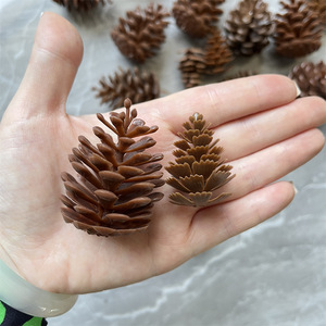 Piñas Secas Naturales con Purpurina <span class=keywords><strong>para</strong></span> Decoración Navideña, San Valentín y Año Nuevo, Venta al por Mayor T3 - Product Image 6
