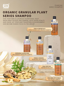 2025 nouveau prix usine haute qualité OEM <span class=keywords><strong>bio</strong></span> gingembre contrôle de l'huile shampooing Solution de soin du cuir chevelu pour le soin des cheveux - Product Image 3