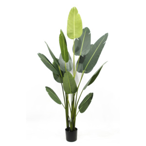Factory <strong>Best</strong> PU Stem 8FT High Simulation Potted Bonsai Greenery Faux <strong>Banana</strong> <strong>Tree</strong> <strong>Artificial</strong> Traveller's Palm <strong>Tree</strong> for Art Decor - Product Image 5