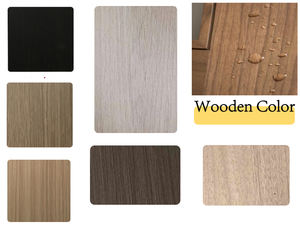 باب خشبي مصمت مصمت بتصميم حديث مع قشرة/لوحة نهائية <span class=keywords><strong>PL</strong></span>-20 دقيقة إطار خشبي بضرب أوراق شجر - Product Image 5