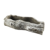 Pot de fleurs en ciment durable au design classique pour cactus, herbes et plantes succulentes, idéal pour la pose au sol dans un jardin.
