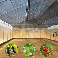 Serre agricole Acenter 8x30m, grande serre avec toit en dents de scie et évents latéraux pour l'agriculture tropicale, invernadero