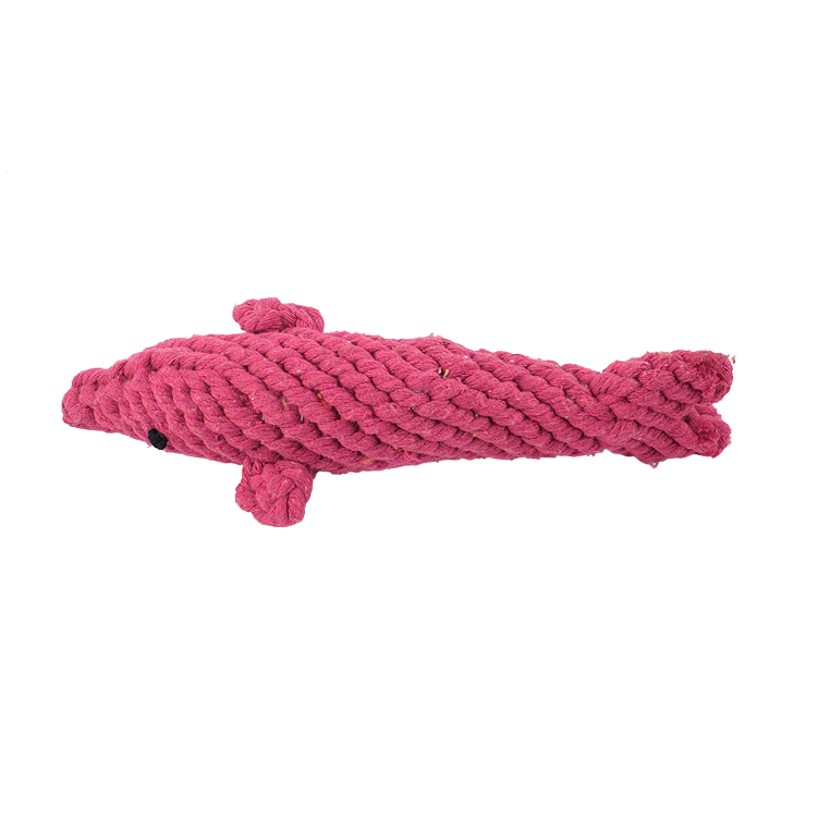 Dolphin