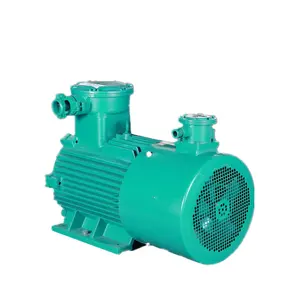 New selling YBBP Series of Explosin-proof Variable frequency adjustable speed three-phase AC Induction Motor electric