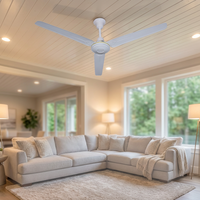 Ventilateur de plafond industriel en fer pur de 56 pouces avec commande murale, stable, idéal pour la maison, le magasin et le lieu de travail – Vente directe usine