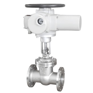 Válvula de Compuerta Eléctrica con Brida DN100 16P, Acero Inoxidable CF8, Actuador Eléctrico, Válvula de Compuerta para Agua - Product Image 1