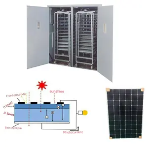 Automatic Chicken/Solar Energy Egg Incubator Incubator Egg Hatching Machine Egg Incubators