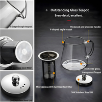 Pichet infuseur à thé aux fruits en verre borosilicate transparent à base évasée, avec couvercle en acier inoxydable, entonnoir infuseur, sans BPA, compatible cuisinière, résistant à la chaleur