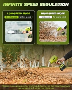 Professioneller Kabelloser Handgehaltener Laubbläser 180000 U/min Einstellbare Geschwindigkeit Staubreiniger 2x4,0Ah Akkus BF173-GREEN Modell 5kg - Product Image 3