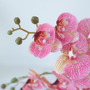 <span class=keywords><strong>Orchidée</strong></span> Phalaenopsis Artificielle Style Chinois Imprimée <span class=keywords><strong>en</strong></span> 3D avec Film Tactile Haute Qualité pour Décoration de Salon, Table Basse et Télévision - Product Image 3