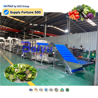Productielijn voor diepvriesgroenten en -fruit: wassen, snijden, blancheren, dehydrateren, machine voor het verwerken van salade, broccoli, tomaat en maïs