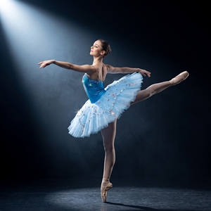 Costume de ballet classique professionnel pour enfants, motif oiseau bleu, pour la Danse du Sommeil, corset et tutu faits main pour filles, pour la compétition - Product Image 3