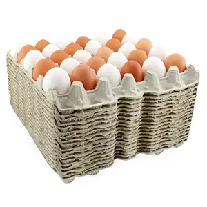 Bandejas de cartón para huevos de pulpa de papel personalizadas de fábrica 30 12 6 agujeros envío cartón soporte para huevos codorniz avestruz bandeja de embalaje de huevos