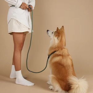 TPU Material <b>Dog</b> Leash Rivet Design Pet Leash Waterproof Washable Leash Summa Handle <b>Dog</b> Leash Durable Eco Friendly Leash - Product Image 1