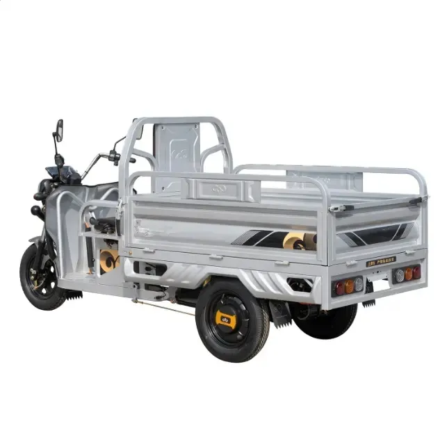 China factory moto tricycle cargo 60V 1000W wheel electric cargo trike best safety popular cargo electric tricycles