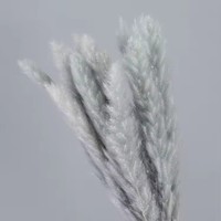 Buket Rumput Pampas Kering Buatan Tangan Grosir untuk Pernikahan Boho, Wisuda & Natal, Dekorasi Rumah Mewah, Bunga Kering