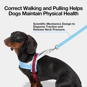 Arnés <span class=keywords><strong>para</strong></span> Perro de Alta Calidad, Sin Estrangulamiento, con Correa, Ajustable, Acolchado y Suave, <span class=keywords><strong>para</strong></span> Whippet, Galgo, Dachshund - Product Image 6