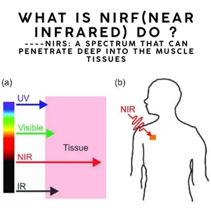 เครื่อง PM-ST Physio Magneto 5 เทสลา PEMF ความเข้มสูง พร้อมระบบระบายความร้อนด้วยน้ำ สำหรับการใช้งานคลินิกต่อเนื่อง 12 ชั่วโมง - Product Image 3