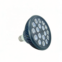 Lampe de luminothérapie rouge 660 nm pour usage domestique, 24 W LED, lumière infrarouge 850 nm, lampe à pince LED 54 W, ampoule de soin du visage, lampe de beauté infrarouge